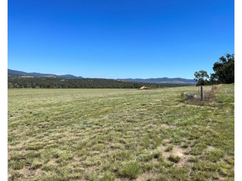 204 Wylie Creek Road, Wylie Creek NSW 2372