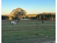 204 Wylie Creek Road, Wylie Creek NSW 2372