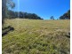 204 Wylie Creek Road, Wylie Creek NSW 2372