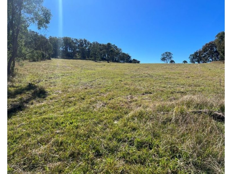 204 Wylie Creek Road, Wylie Creek NSW 2372