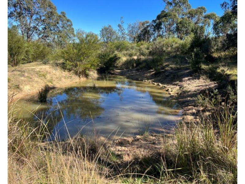 204 Wylie Creek Road, Wylie Creek NSW 2372