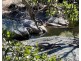 204 Wylie Creek Road, Wylie Creek NSW 2372