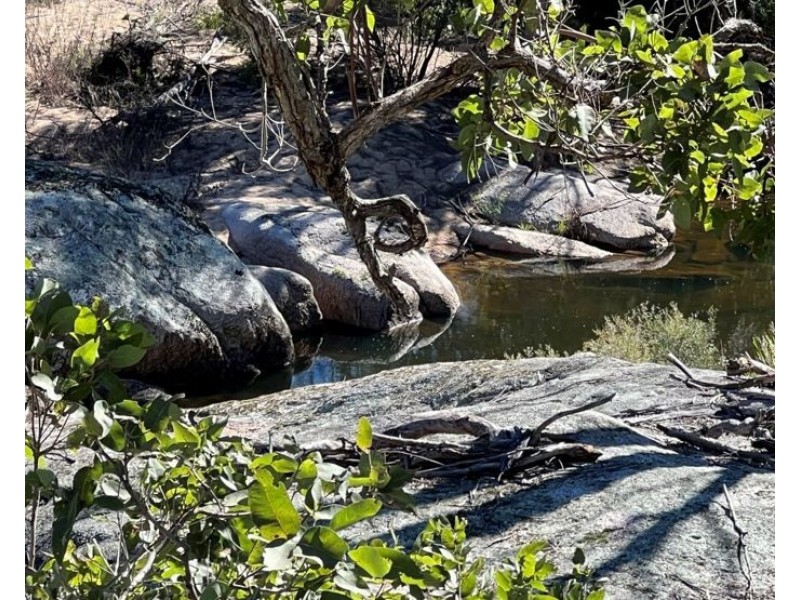 204 Wylie Creek Road, Wylie Creek NSW 2372