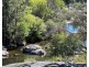 204 Wylie Creek Road, Wylie Creek NSW 2372