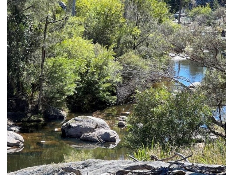 204 Wylie Creek Road, Wylie Creek NSW 2372