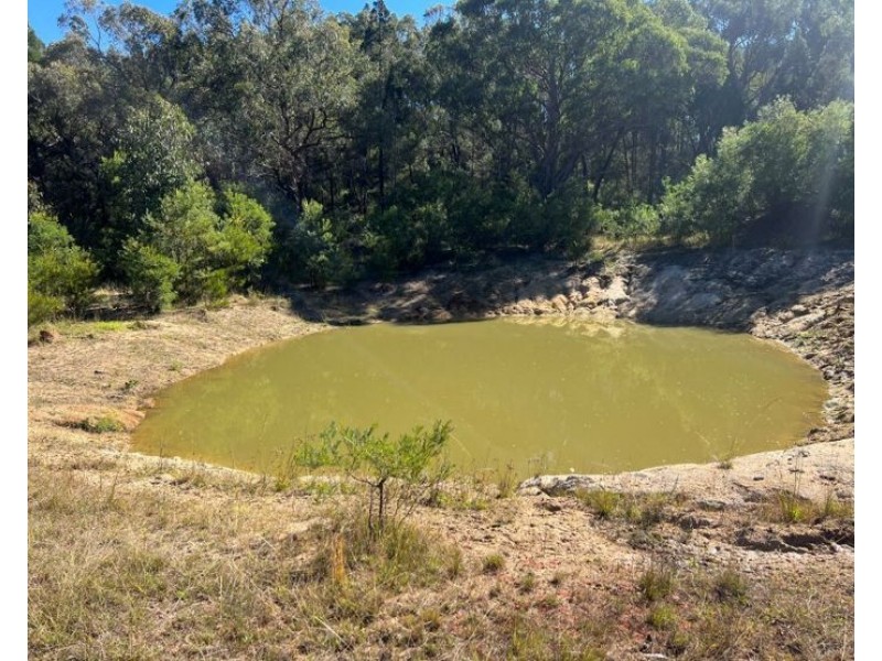 204 Wylie Creek Road, Wylie Creek NSW 2372