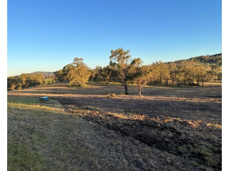 204 Wylie Creek Road, Wylie Creek NSW 2372