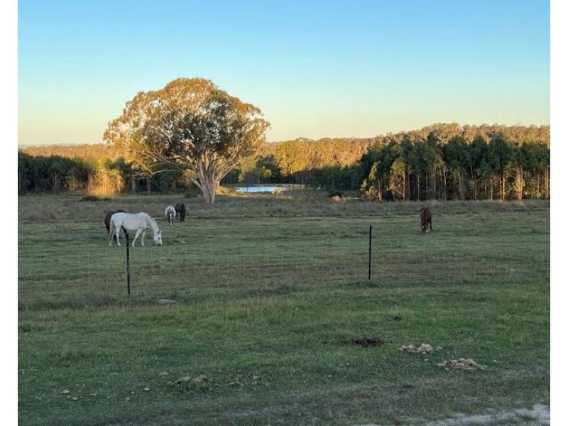 204 Wylie Creek Road, Wylie Creek NSW 2372