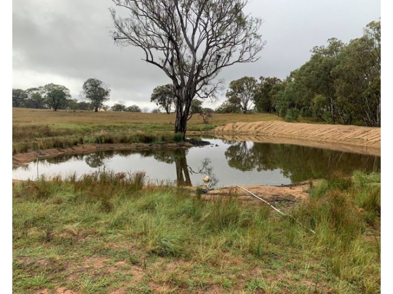 2087 Rabbit Fence Road, Dalveen QLD 4374