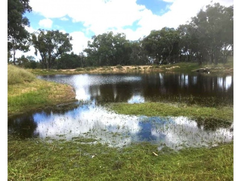 2087 Rabbit Fence Road, Dalveen QLD 4374