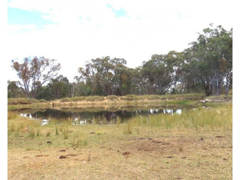 2087 Rabbit Fence Road, Dalveen QLD 4374