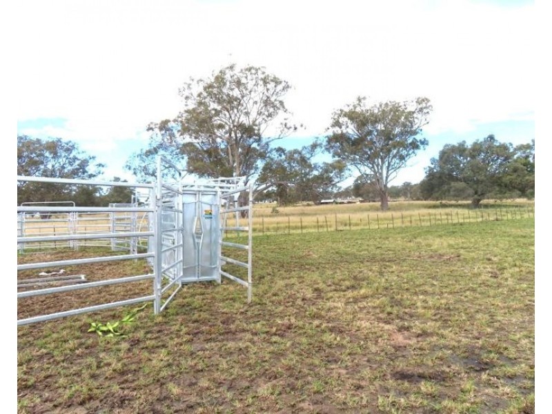 2087 Rabbit Fence Road, Dalveen QLD 4374