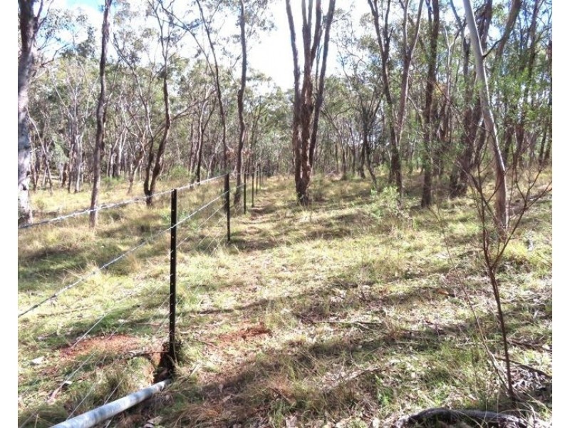 2087 Rabbit Fence Road, Dalveen QLD 4374