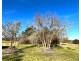 112 Rogers Road, Applethorpe QLD 4378