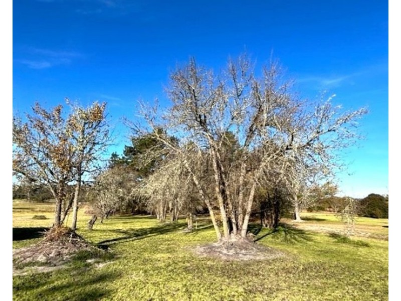112 Rogers Road, Applethorpe QLD 4378