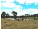 Lot 11 Saxby Road, Ballandean QLD 4382