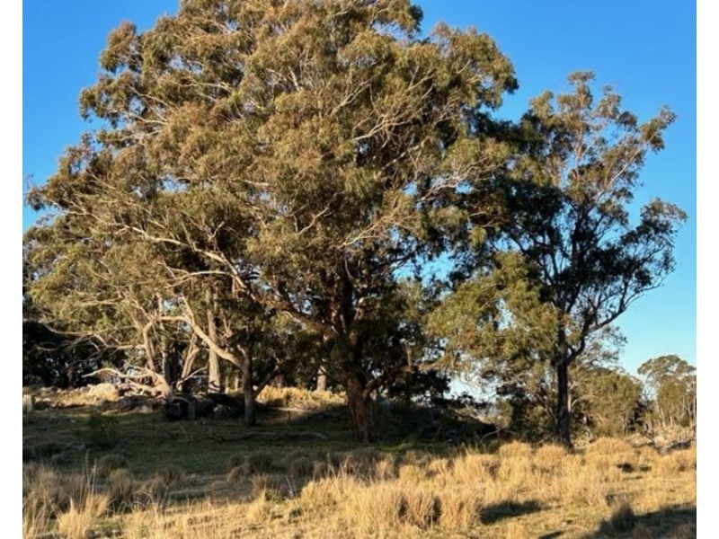 929 Mount Tully Road, Eukey QLD 4380