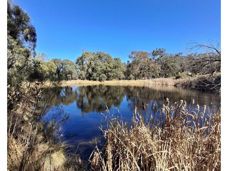 110 Spring Creek Road, Greenlands QLD 4380