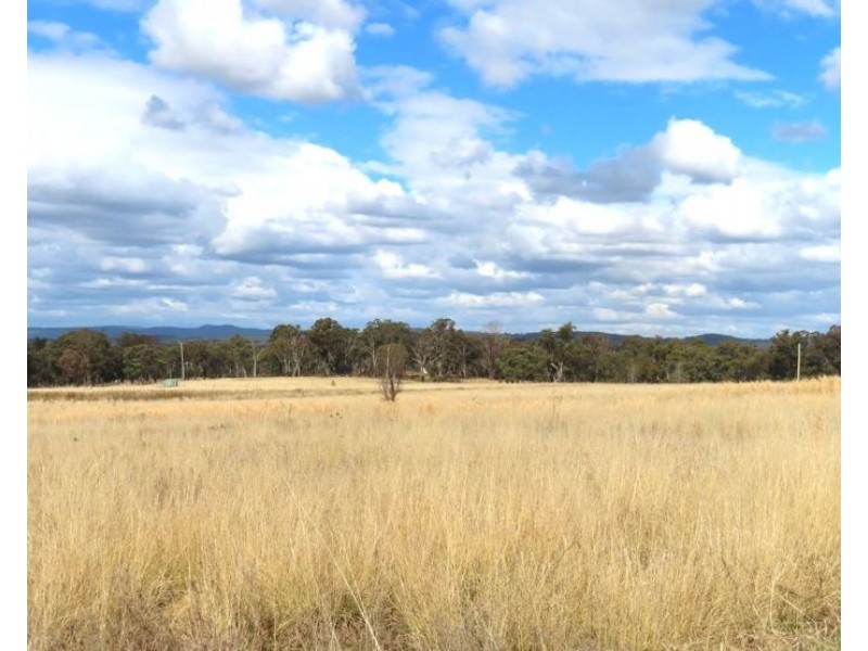 110 Spring Creek Road, Greenlands QLD 4380