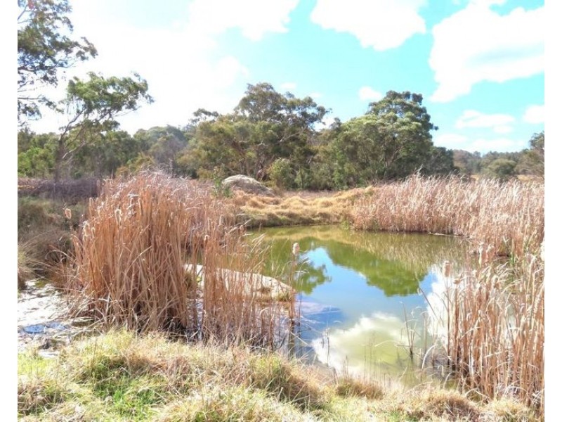 110 Spring Creek Road, Greenlands QLD 4380