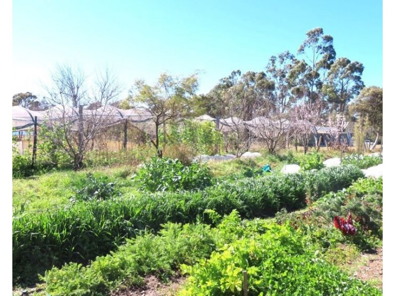 107 Church Road, The Summit QLD 4377