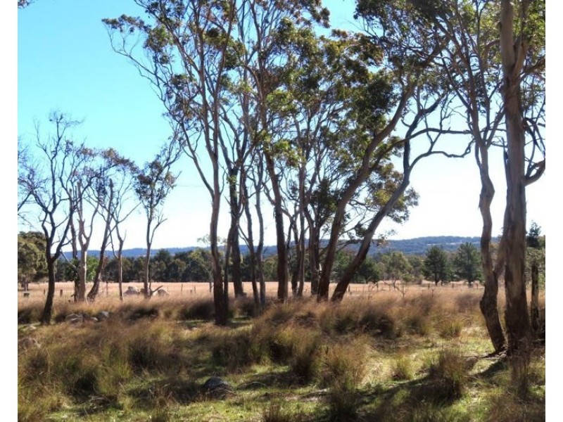107 Church Road, The Summit QLD 4377