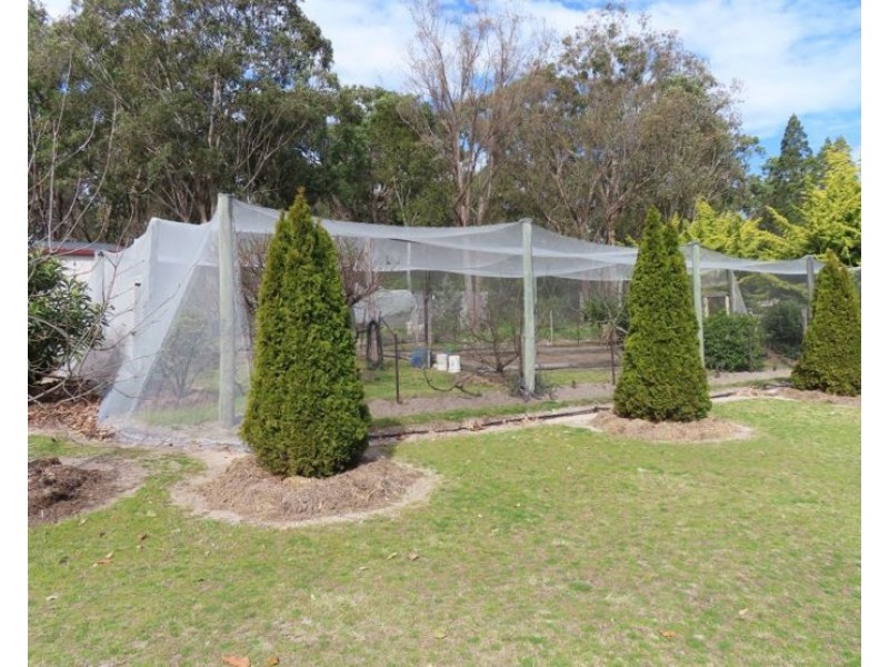 54 Old Caves Road, Stanthorpe QLD 4380