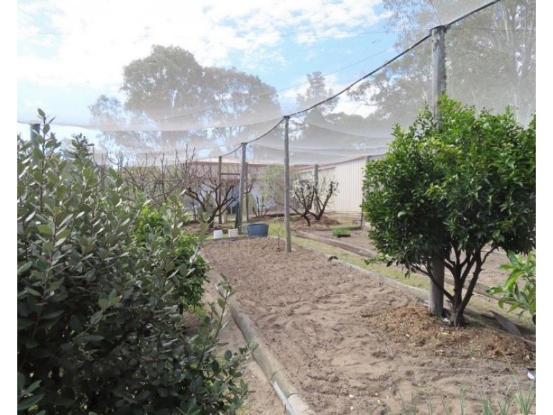 54 Old Caves Road, Stanthorpe QLD 4380