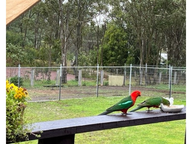 5118 Mount Lindesay Road, Liston NSW 2372