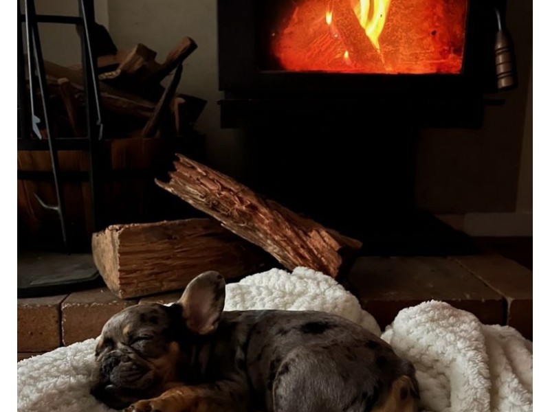 5118 Mount Lindesay Road, Liston NSW 2372