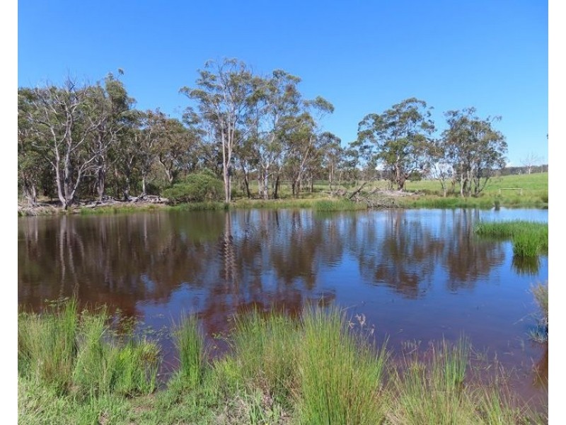 399 Rivertree Road, Liston NSW 2372