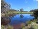 399 Rivertree Road, Liston NSW 2372