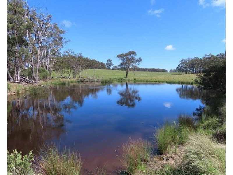 399 Rivertree Road, Liston NSW 2372
