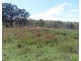 399 Rivertree Road, Liston NSW 2372