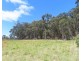 399 Rivertree Road, Liston NSW 2372