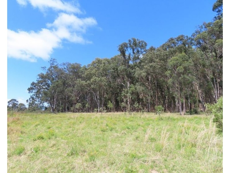399 Rivertree Road, Liston NSW 2372