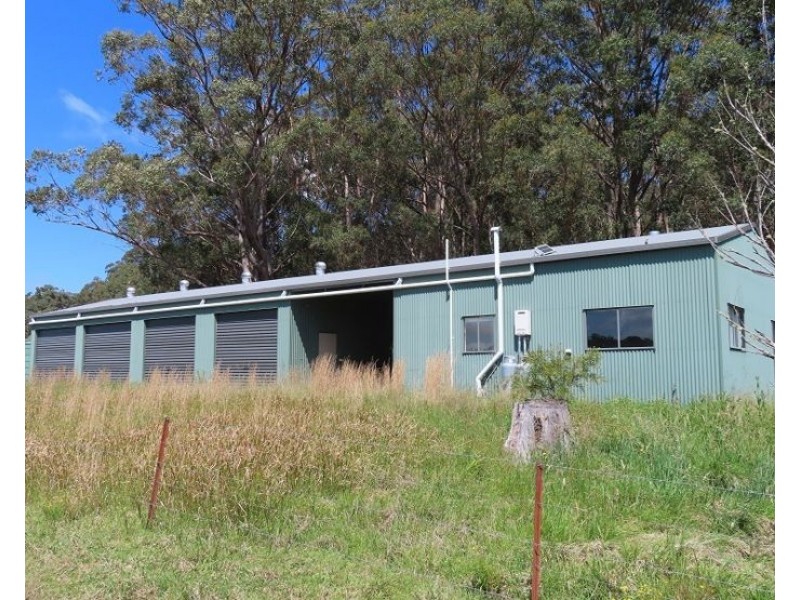 399 Rivertree Road, Liston NSW 2372