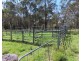 399 Rivertree Road, Liston NSW 2372