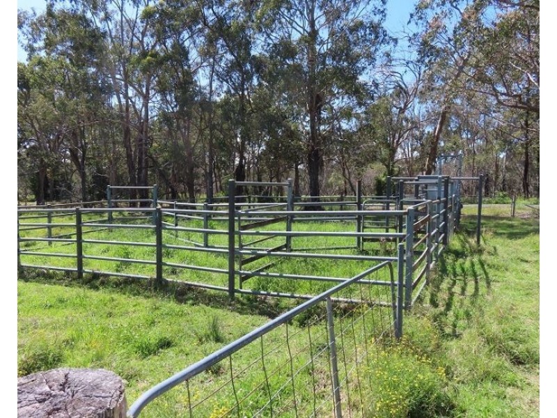 399 Rivertree Road, Liston NSW 2372