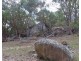 Lot 42 Ravensmoor Road, Stanthorpe QLD 4380