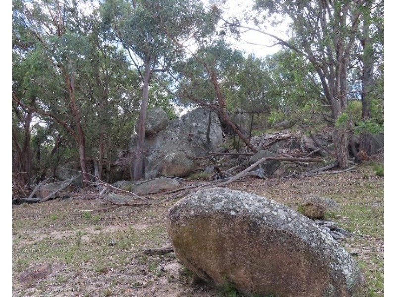 Lot 42 Ravensmoor Road, Stanthorpe QLD 4380