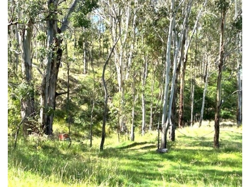 2035 Rivertree Road, Rivertree NSW 2372