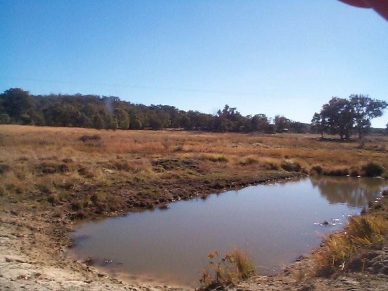 894 Amiens Road, Amiens QLD 4352