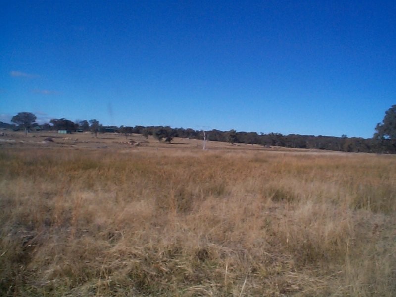 894 Amiens Road, Amiens QLD 4352