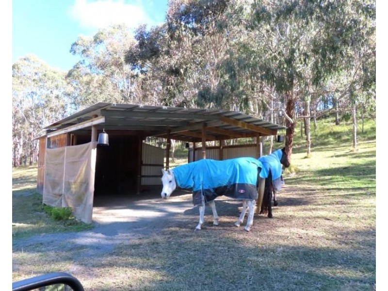 764 Rivertree Road, Liston NSW 2372