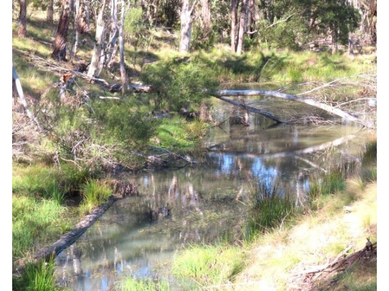 764 Rivertree Road, Liston NSW 2372