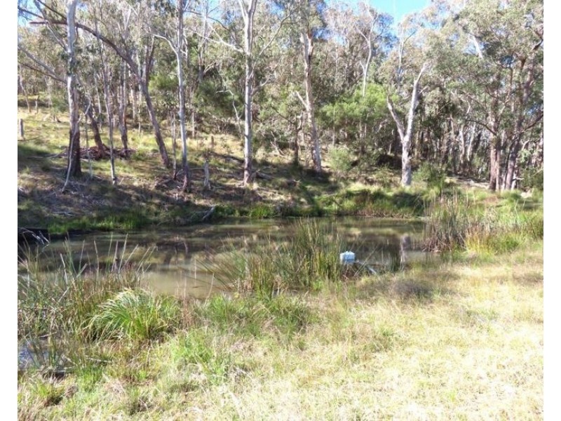 764 Rivertree Road, Liston NSW 2372