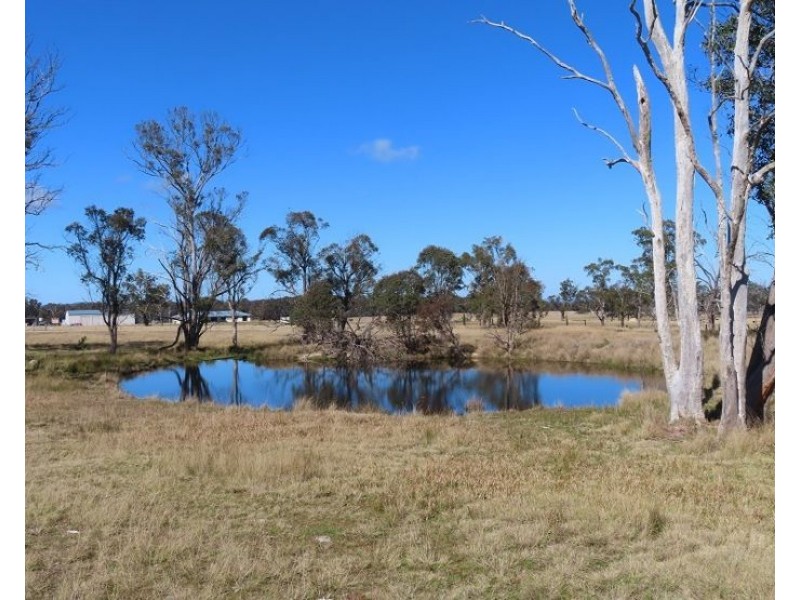 Lot 2 Hopgood Lane, The Summit QLD 4377