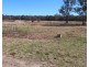 Lot 2 Hopgood Lane, The Summit QLD 4377