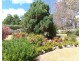 12 Plant Lane, Applethorpe QLD 4378